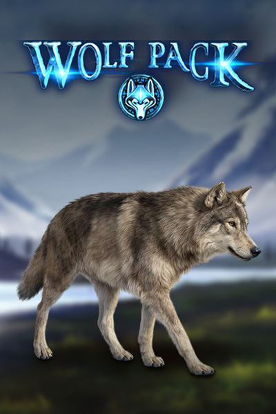 Wolf Pack